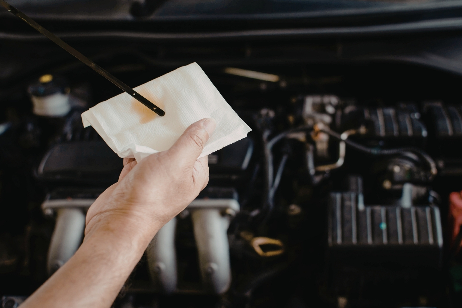 energymotorsoil.com